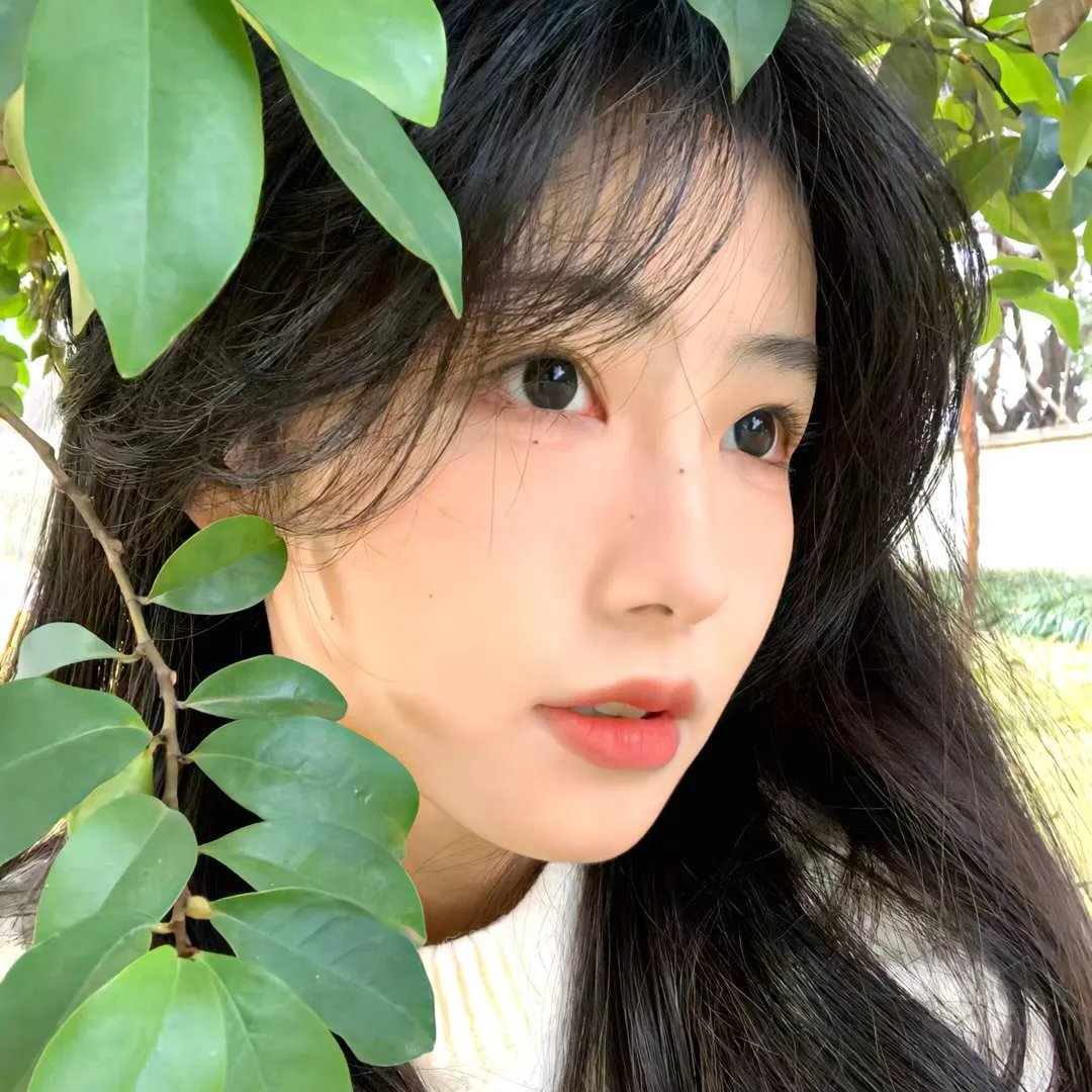 娘子莫慌其实我有亿点点修为